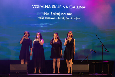 Občina Medvode_slavnostna seja_2026_ (270 of 378)